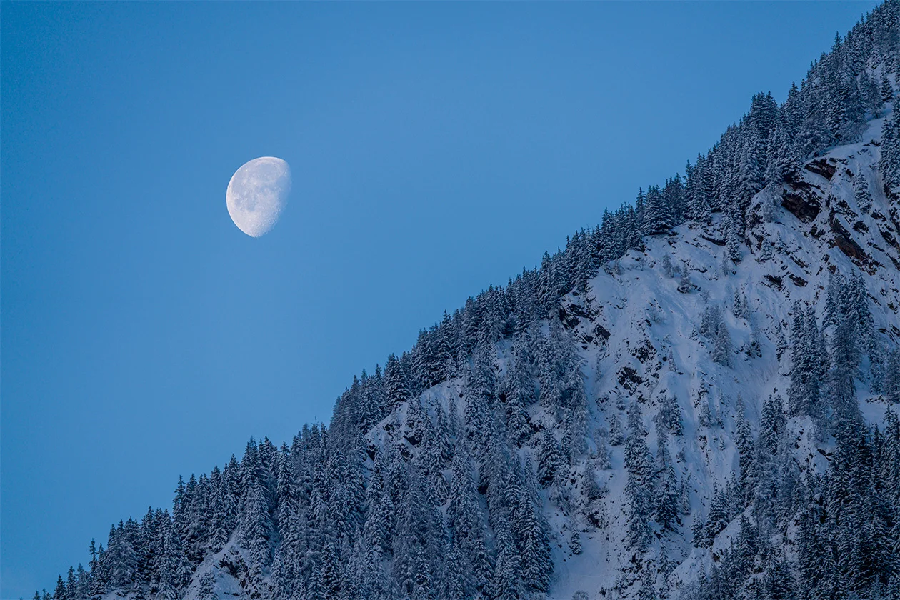 Lune décroissante au-dessus d'une forêt de sapins enneigés, scène hivernale paisible