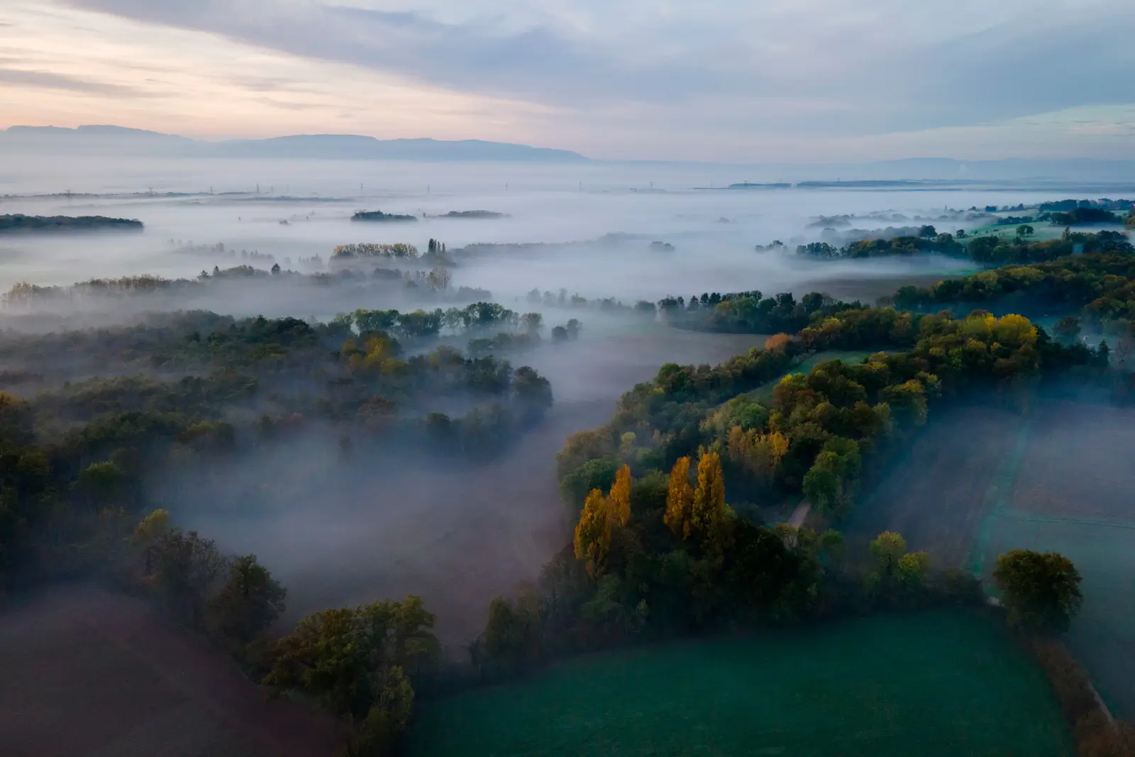 Vue aérienne d'une campagne automnale émergeant de la brume matinale, arbres dorés et montagnes à l'horizon