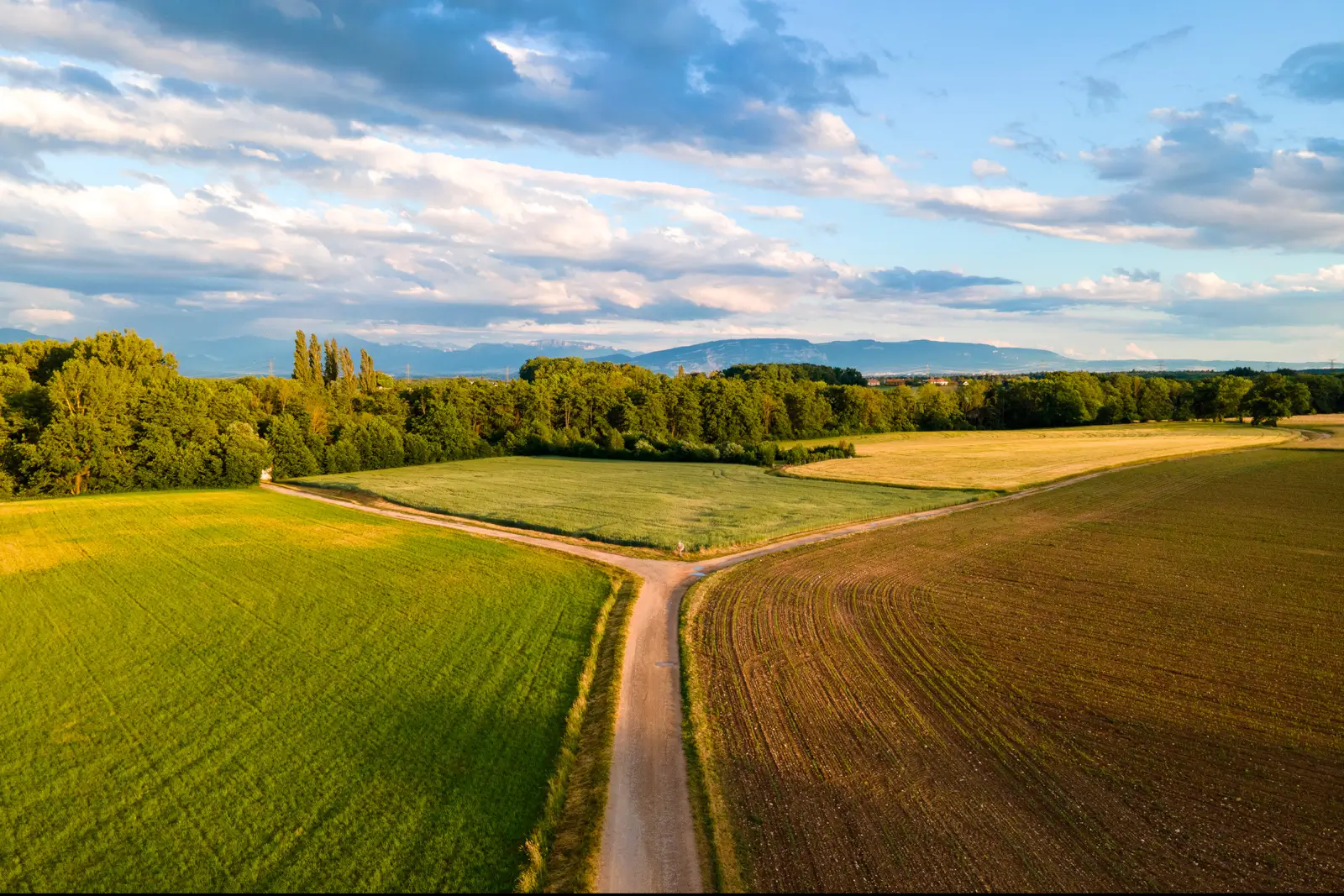 Vue aérienne d'un chemin de campagne bifurquant entre prés verts et champ labouré, lumière dorée du soir