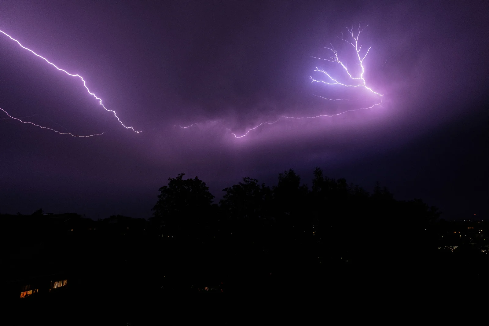 Éclairs ramifiés violets dans un ciel d'orage nocturne au-dessus de silhouettes d'arbres
